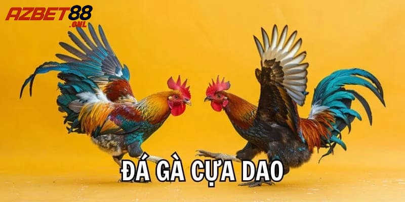 Đá gà tre - Bộ môn cá cược hấp dẫn và kịch tính nhất 2025 1 Đá gà tre là gì?