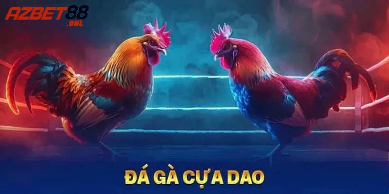 Đá gà cựa dao và kinh nghiệm chơi từ các cao thủ Azbet88 2 Hướng dẫn cách chơi đá gà cựa dao từ A – Z tại nhà cái Azbet88